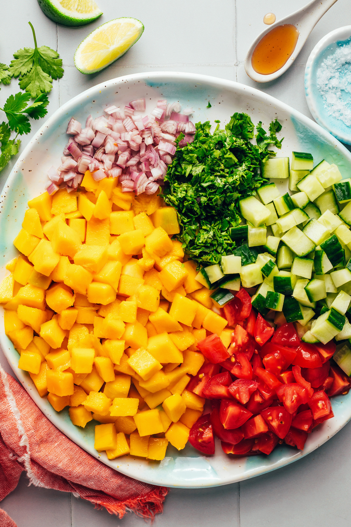 Diced mango, cherry tomatoes cucumber, shallot, and cilantro on a plate