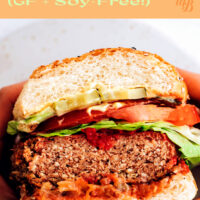 Vegan, gluten and soy-free burger with tomato slices, ketchup, and lettuce