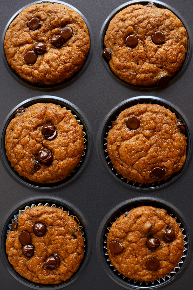 Batch of Pumpkin Chocolate Chip Muffins in a muffin tin